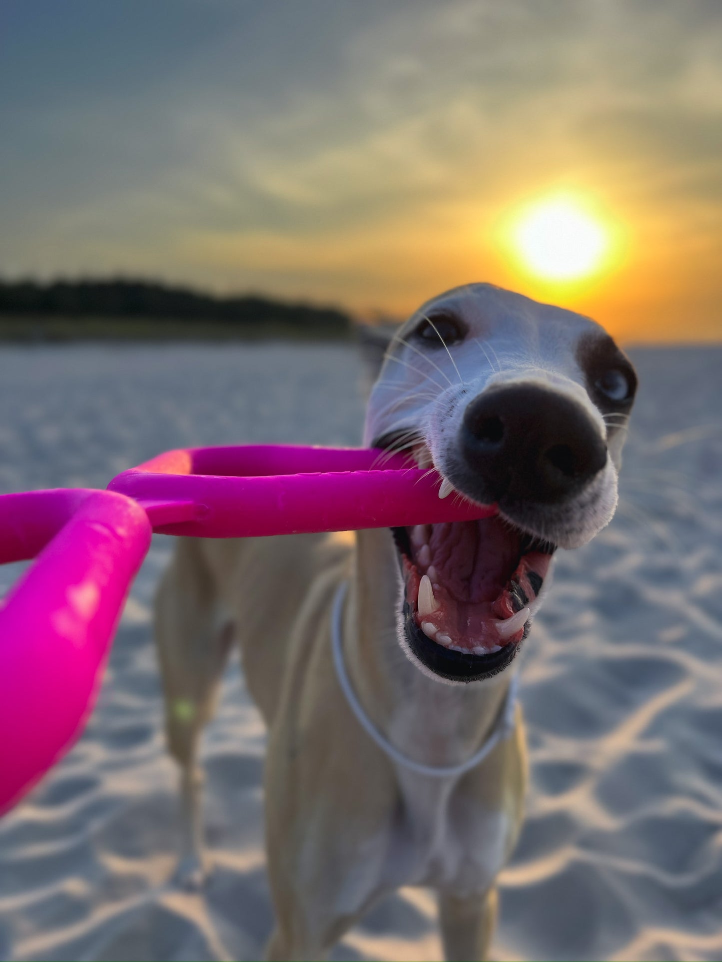 Fiboo__FIB__dragkamp__pink__lifestyle