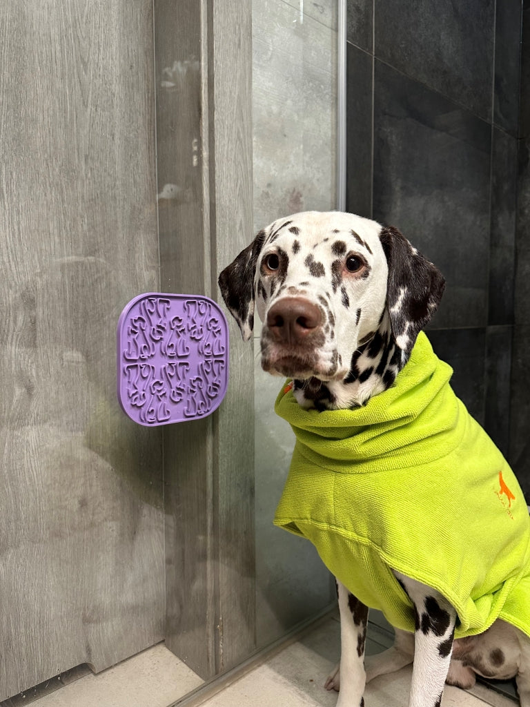 lollipop__sticky__lifestyle__purple