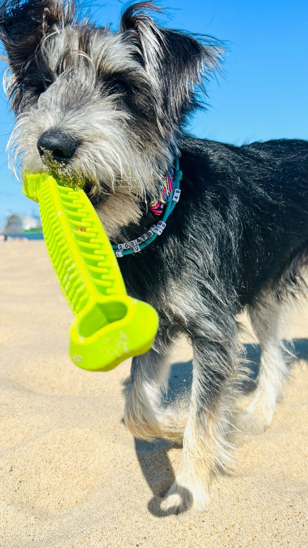 fiboone__dental__life__green