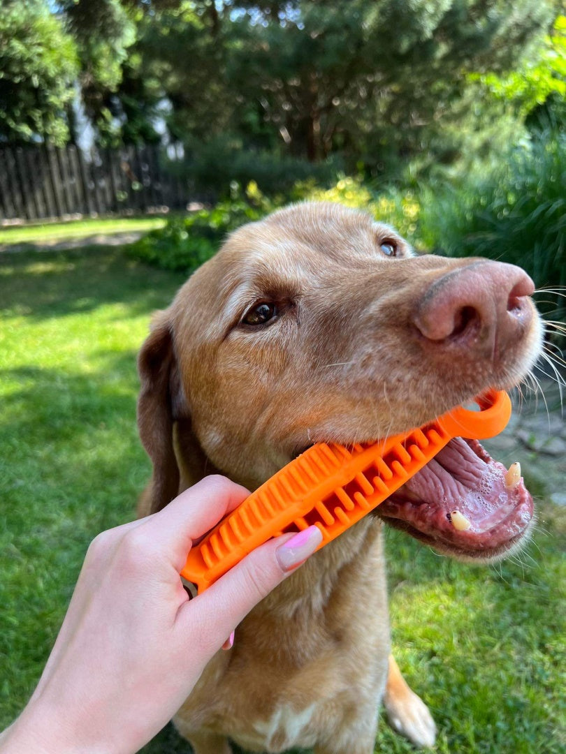 fiboone__dental__life__orange