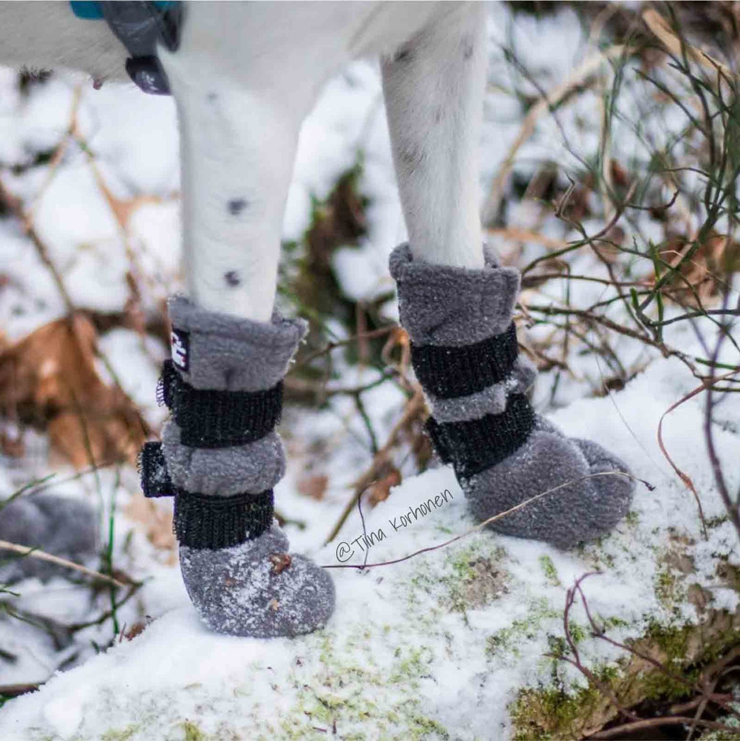 Finnero - Halla Reflex Hundsko Grå (4-pack)