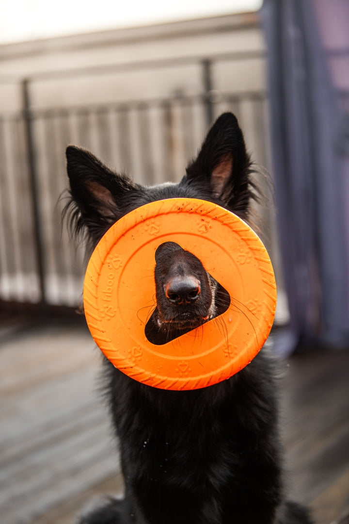 fiboo__frisboo__lifestyle__orange