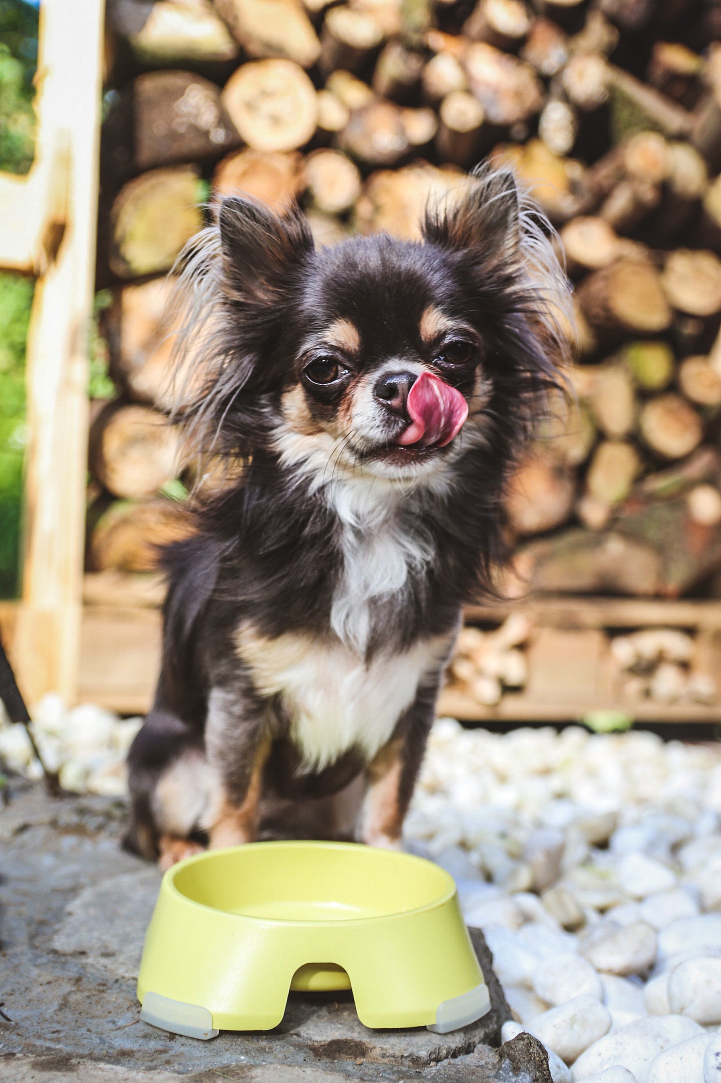 Fiboo - Hundskål Liten