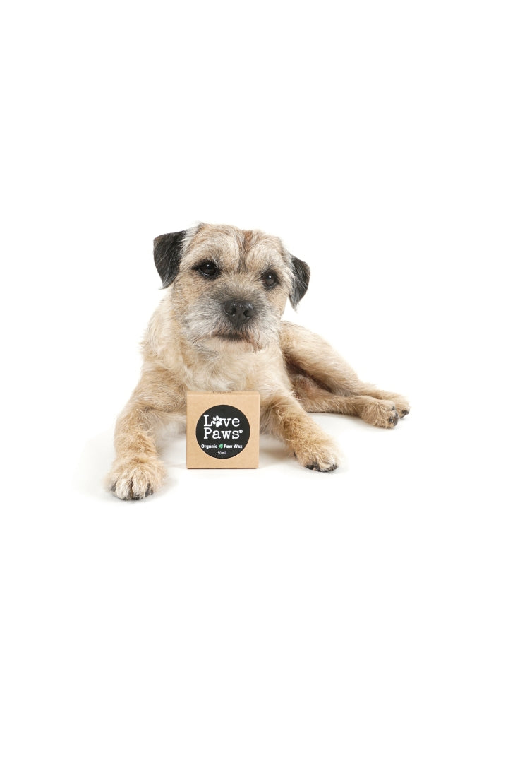 Love Paws - Organisk Tassalva