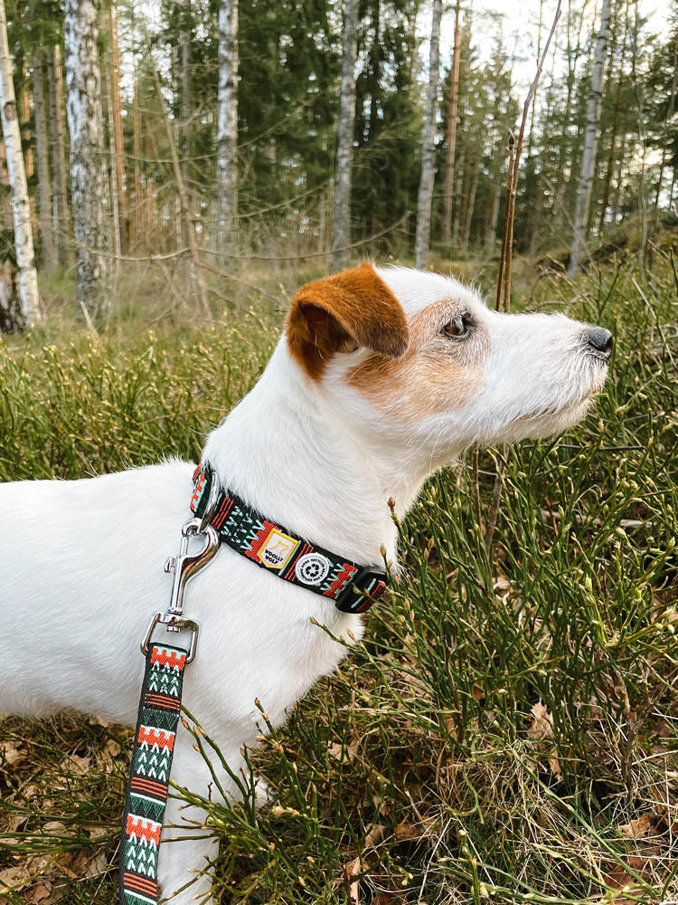 Woolly Wolf Hundhalsband I Färgen Woodland