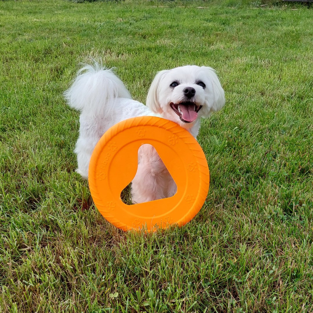 fiboo__frisboo__lifestyle__orange