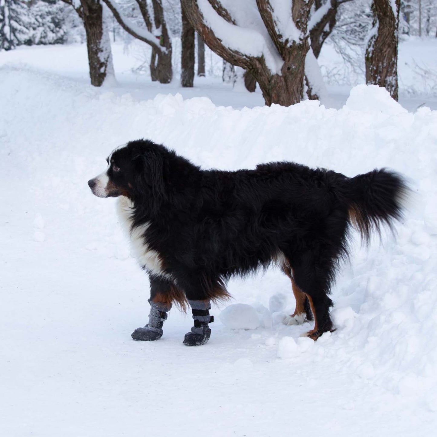 Finnero Hundskor Halla Lux Grå 2-pack