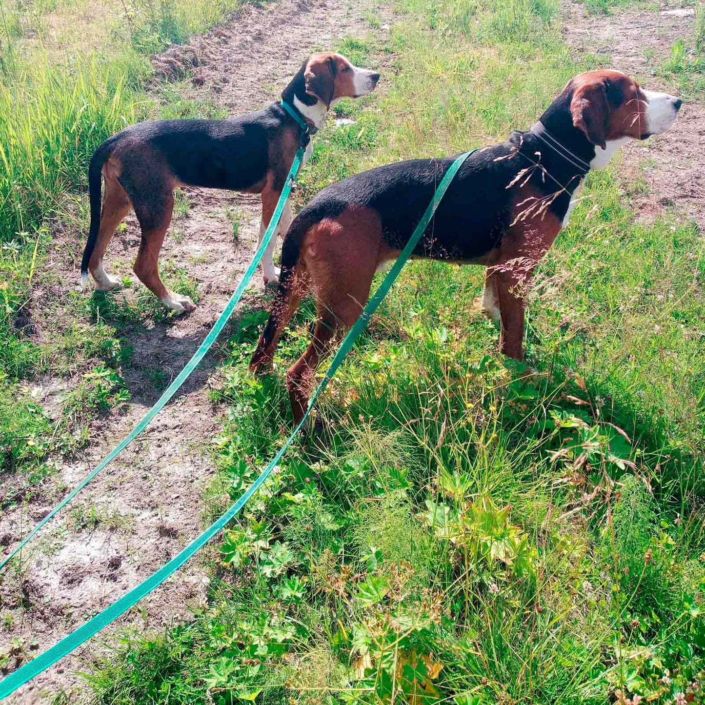 Finnero__Anti-glid-koppel__Rescue__Grön