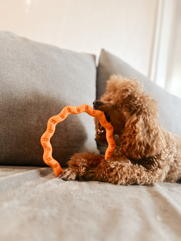 fiboo__fringoo__lifestyle__orange__toy__ring
