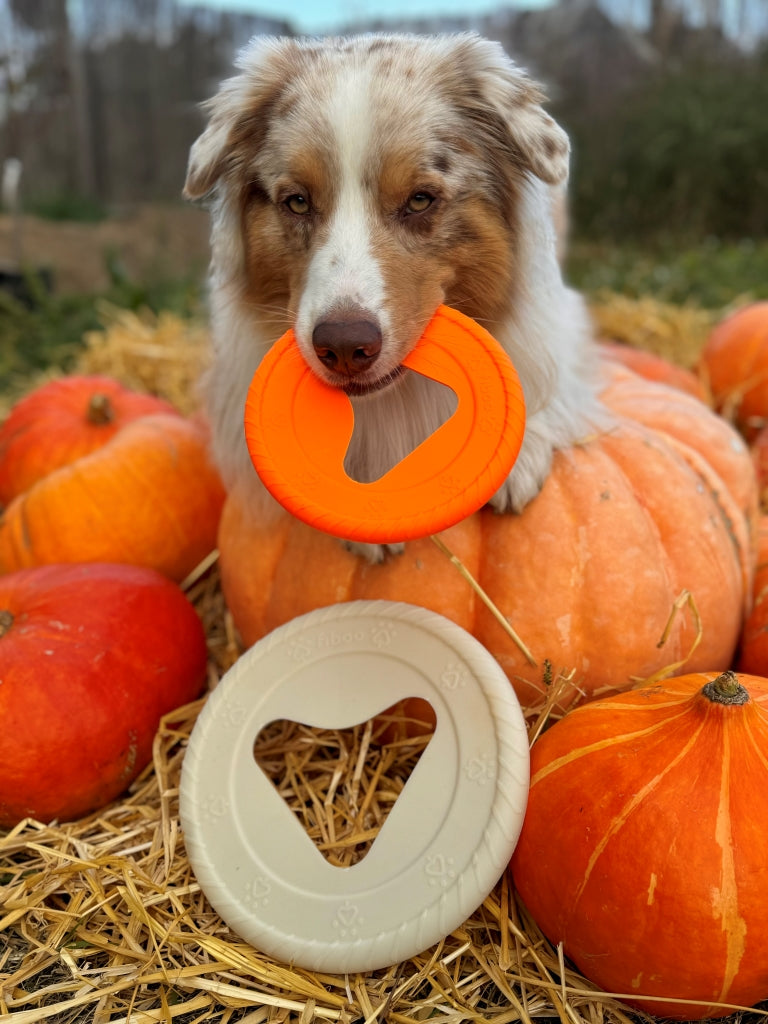 Fiboo - Frisboo Självlysande Hundfrisbee