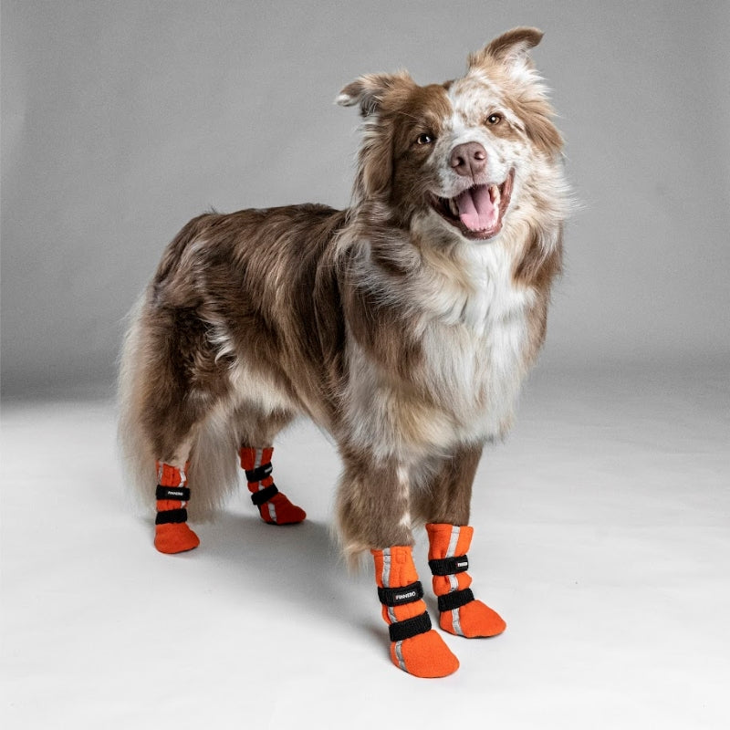 Finnero - Halla Reflex Hundsko Orange (4-pack)