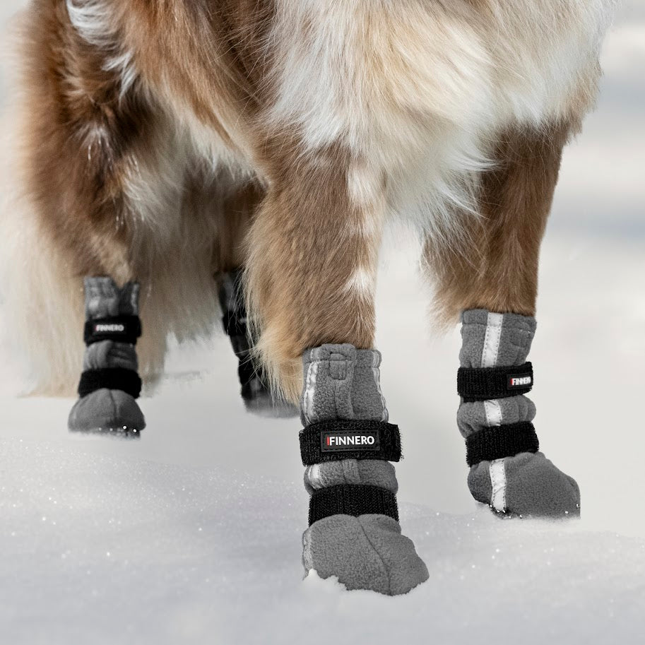 Finnero - Halla Reflex Hundsko Grå (4-pack)