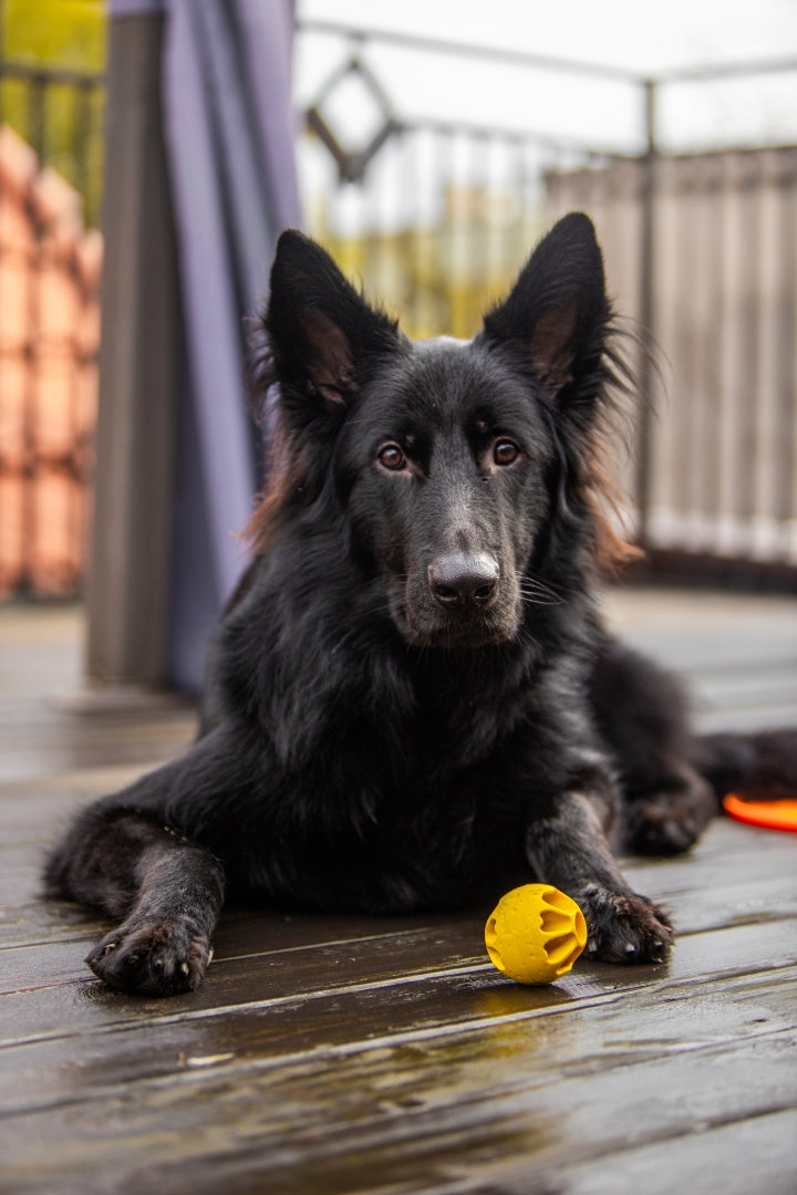 fiboo__fibooll__aktiveringsboll__yellow__lifestyle