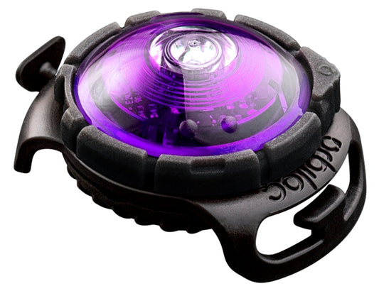 Orbiloc - Safety Light Dual Lila