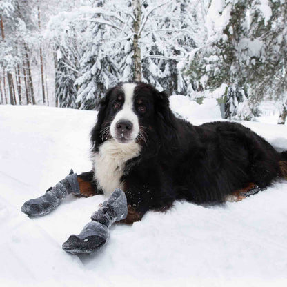Finnero Hundskor Halla Lux Grå 2-pack