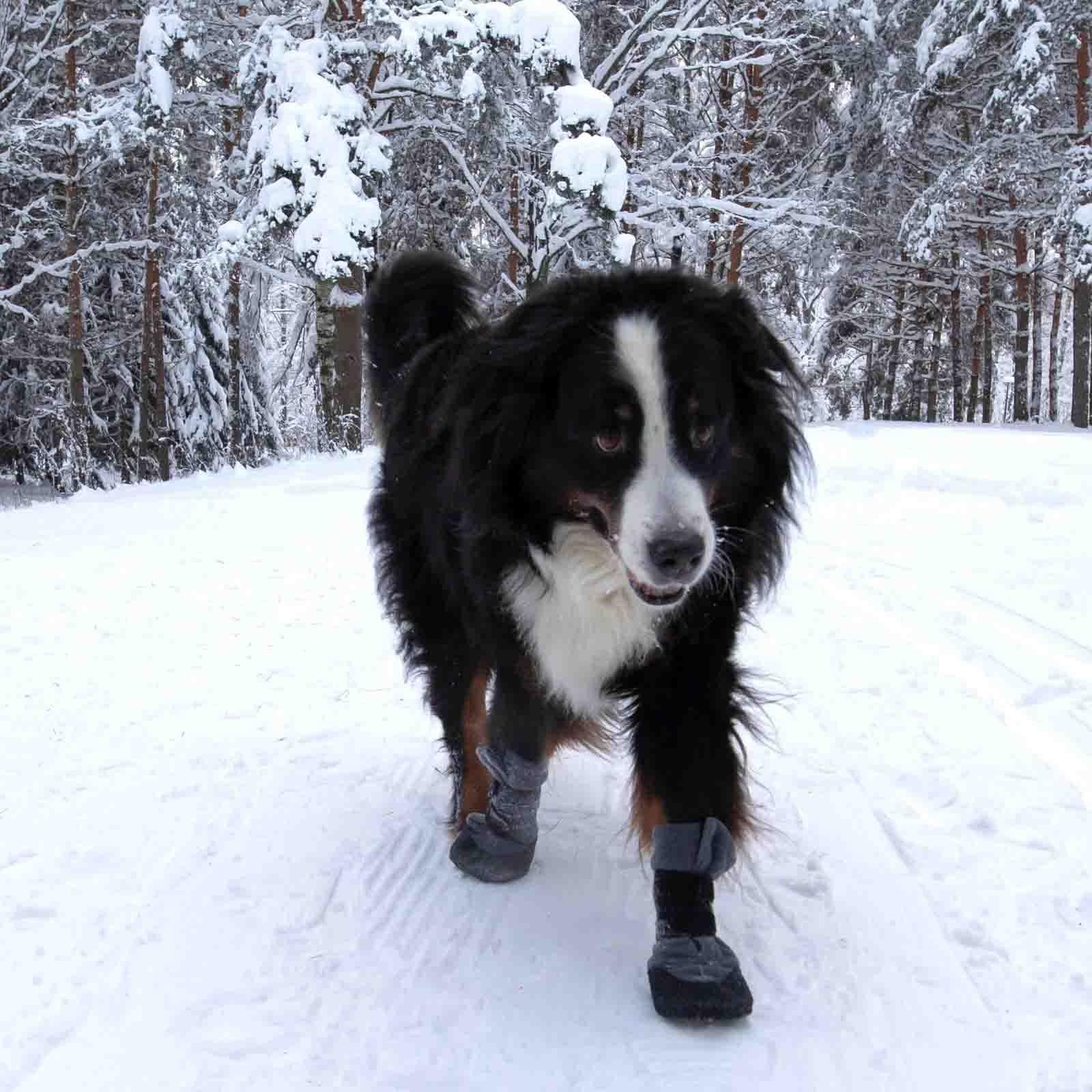 Finnero Hundskor Halla Lux Grå 2-pack