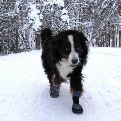 Finnero Hundskor Halla Lux Grå 2-pack
