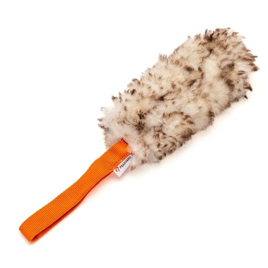 Psarvard - Träningsleksak Moni Orange