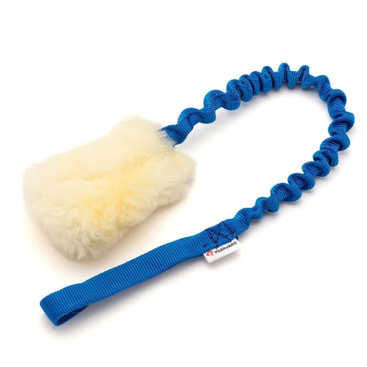 Psarvard - Träningsleksak Trainer Absorber Small Blå