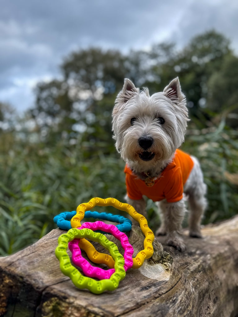 fiboo__fringoo__lifestyle__green__toy__ring