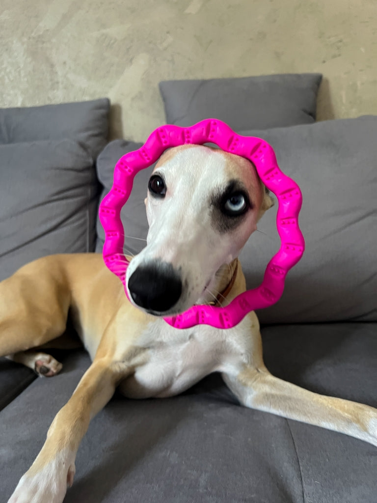 fiboo__fringoo__lifestyle__pink__toy__ring