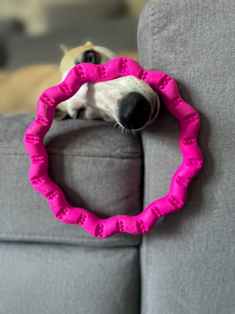 fiboo__fringoo__lifestyle__pink__toy__ring